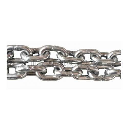 標(biāo)準(zhǔn)輸送鏈